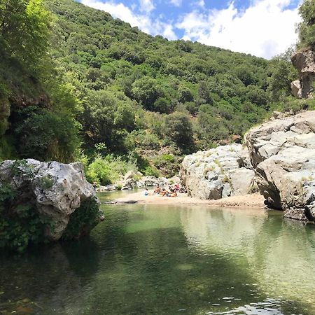 New! La Ginestra,Casa Vacanze Bifamiliare In Montagna-Seulo Sardegna Buitenkant foto