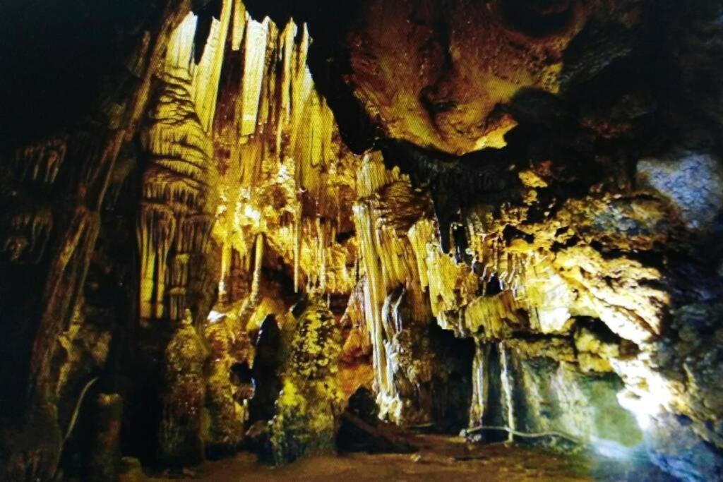 New! La Ginestra,Casa Vacanze Bifamiliare In Montagna-Seulo Sardegna Buitenkant foto