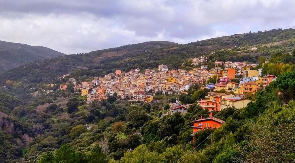 New! La Ginestra,Casa Vacanze Bifamiliare In Montagna-Seulo Sardegna Buitenkant foto