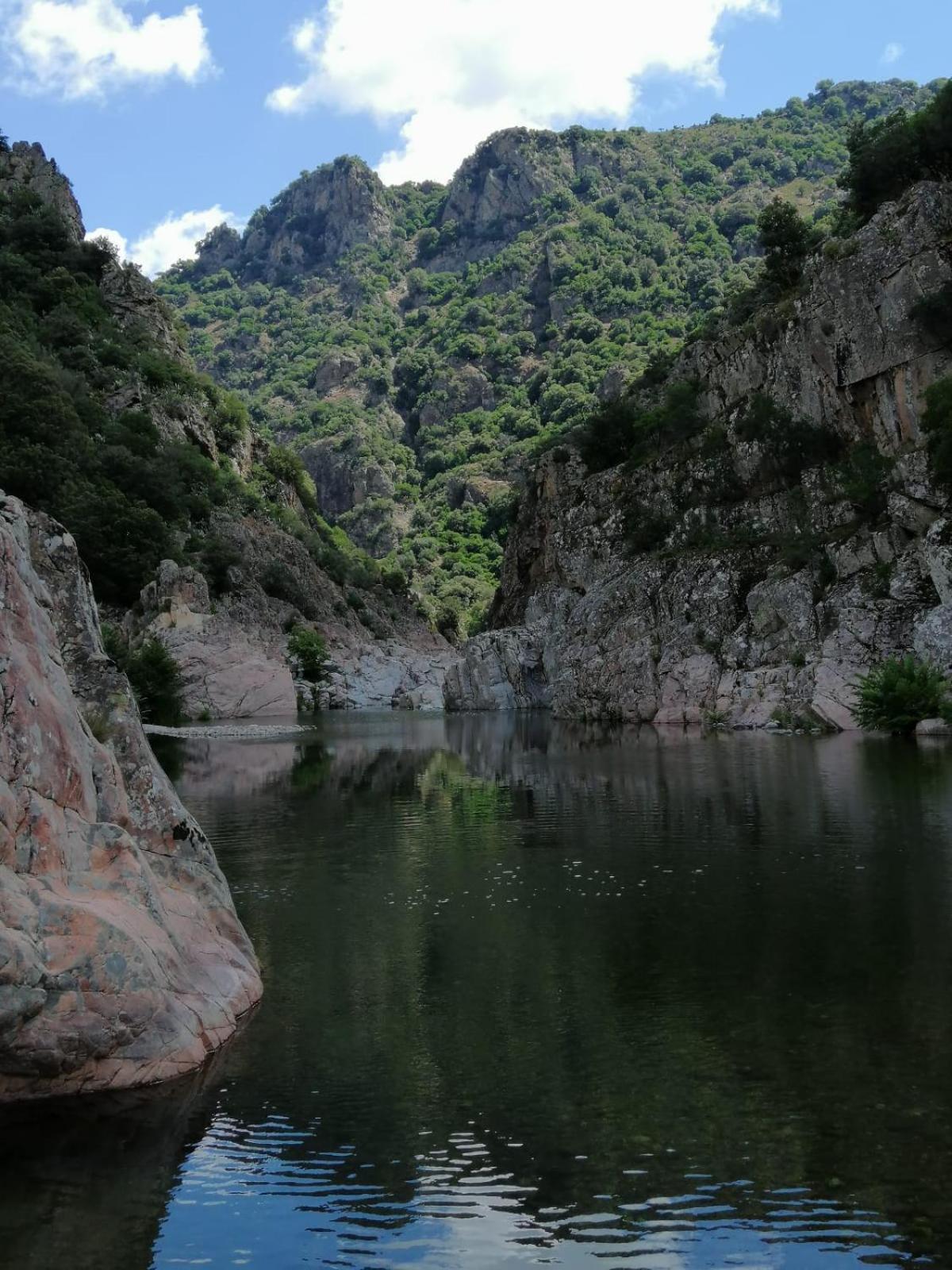 New! La Ginestra,Casa Vacanze Bifamiliare In Montagna-Seulo Sardegna Buitenkant foto